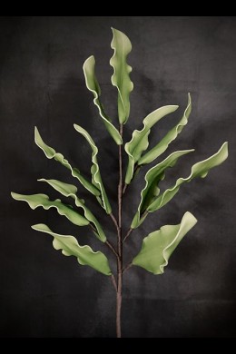  JADE GREEN LEAVES [FF705156]